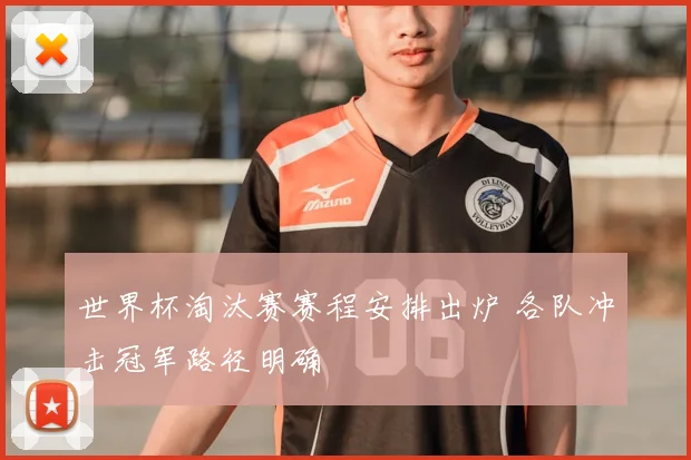 世界杯淘汰赛赛程安排出炉 各队冲击冠军路径明确