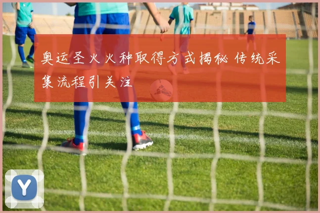 奥运圣火火种取得方式揭秘 传统采集流程引关注
