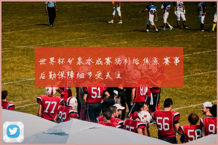 世界杯矿泉水成赛场补给焦点 赛事后勤保障细节受关注