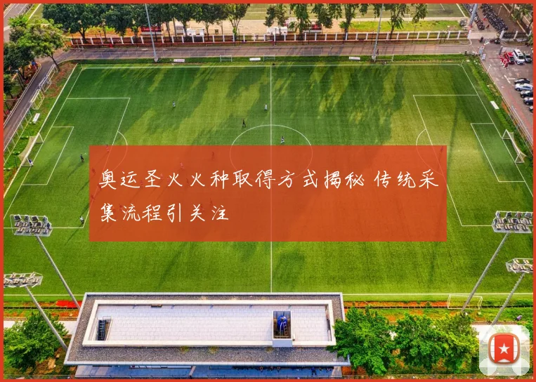 奥运圣火火种取得方式揭秘 传统采集流程引关注
