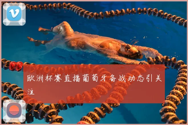 欧洲杯赛直播葡萄牙备战动态引关注