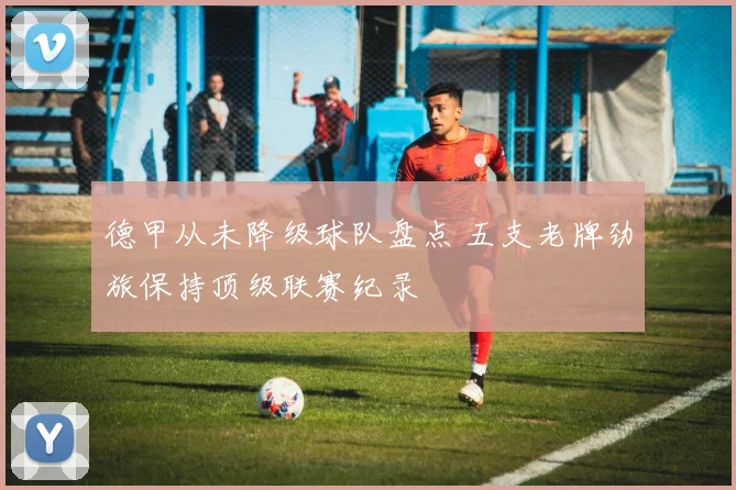 德甲从未降级球队盘点 五支老牌劲旅保持顶级联赛纪录