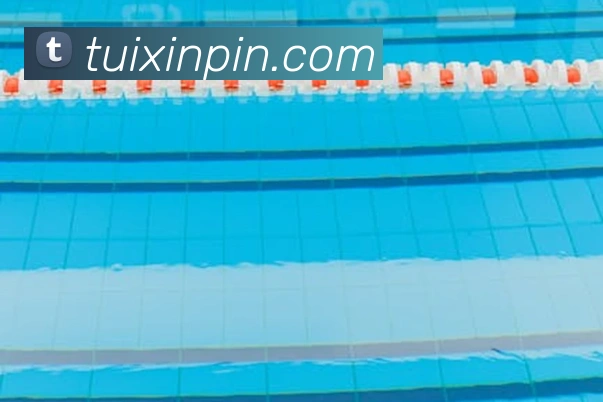 云开体育在线登陆APP 封面图